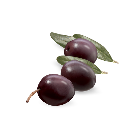 Basilico