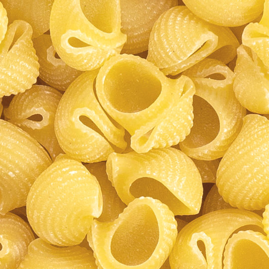 Pâtes Lumaconi