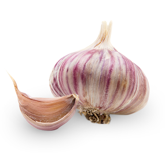 Basilico
