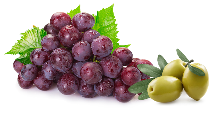 Basilico