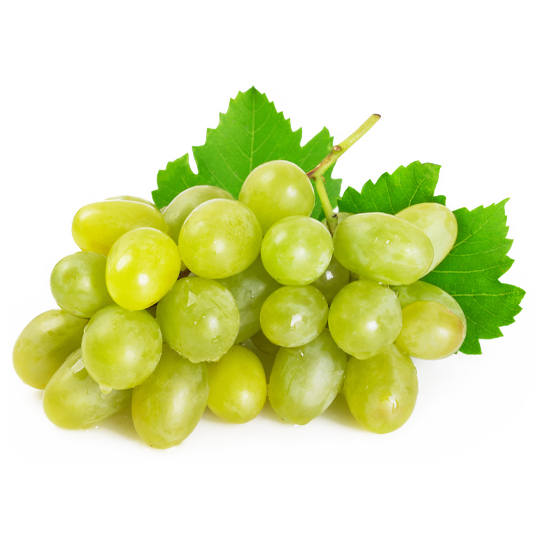 Basilico