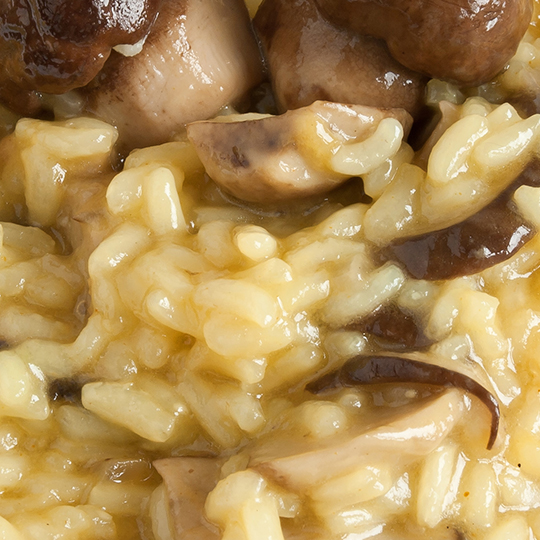 Risotto with porcini mushrooms