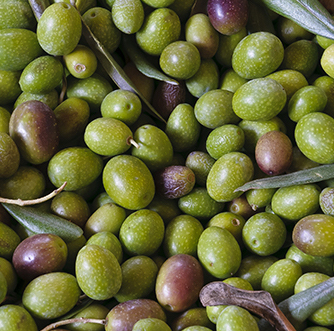 Extra Virgin Olive Oil 33 OZ